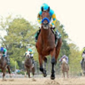 Meet your Posher, Joanne